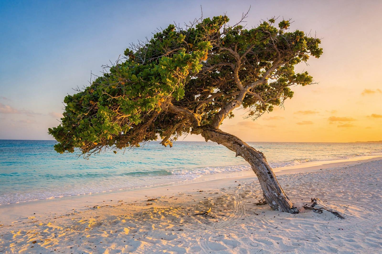 Aruba travel scene