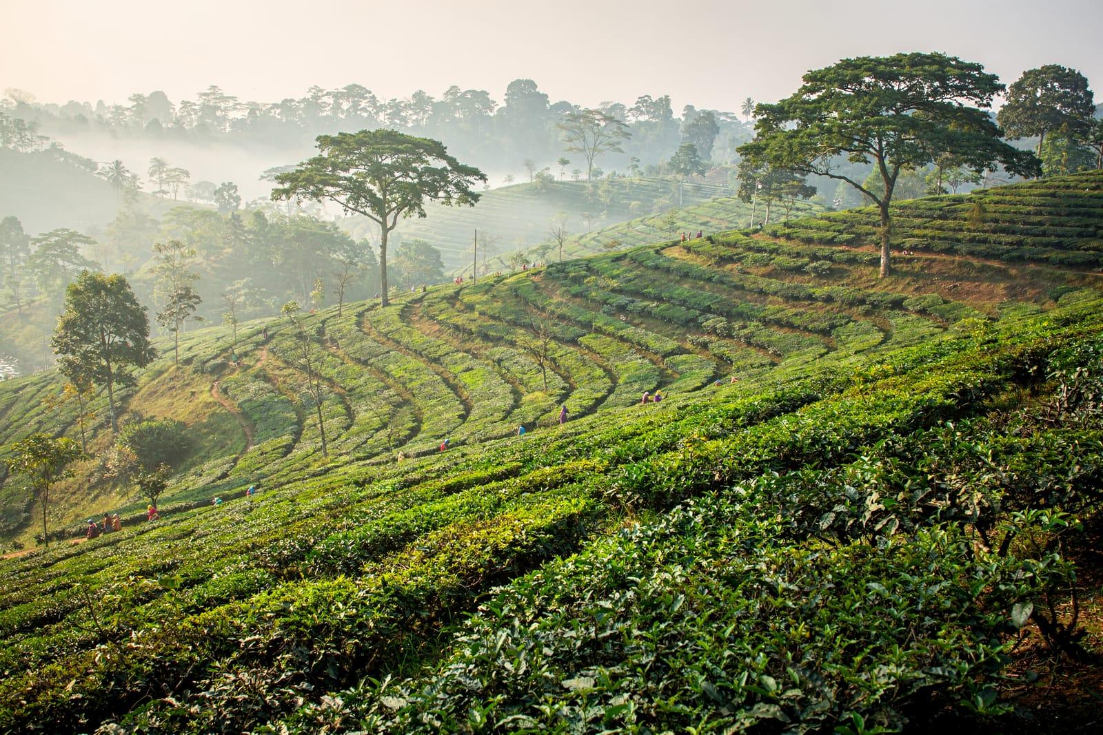 Bangladesh travel scene