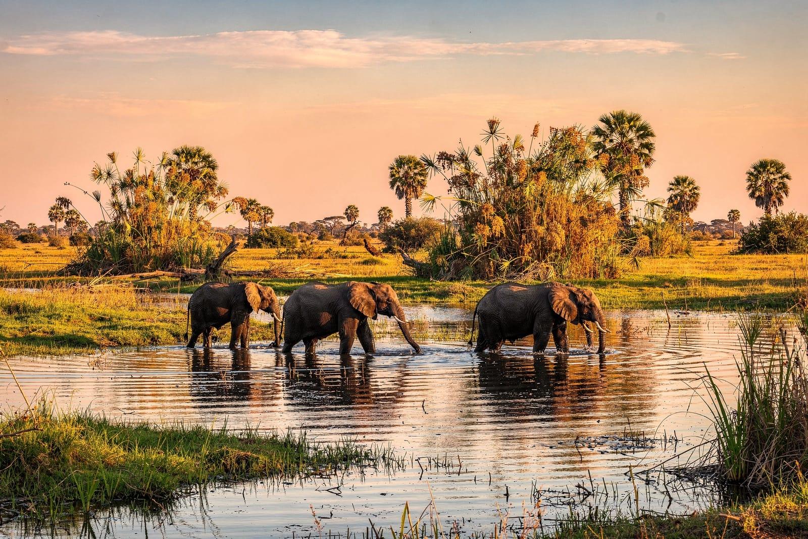 Botswana travel scene