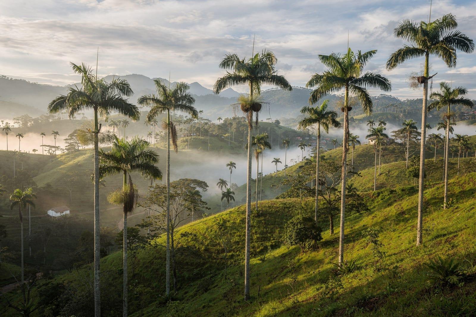 Colombia travel scene