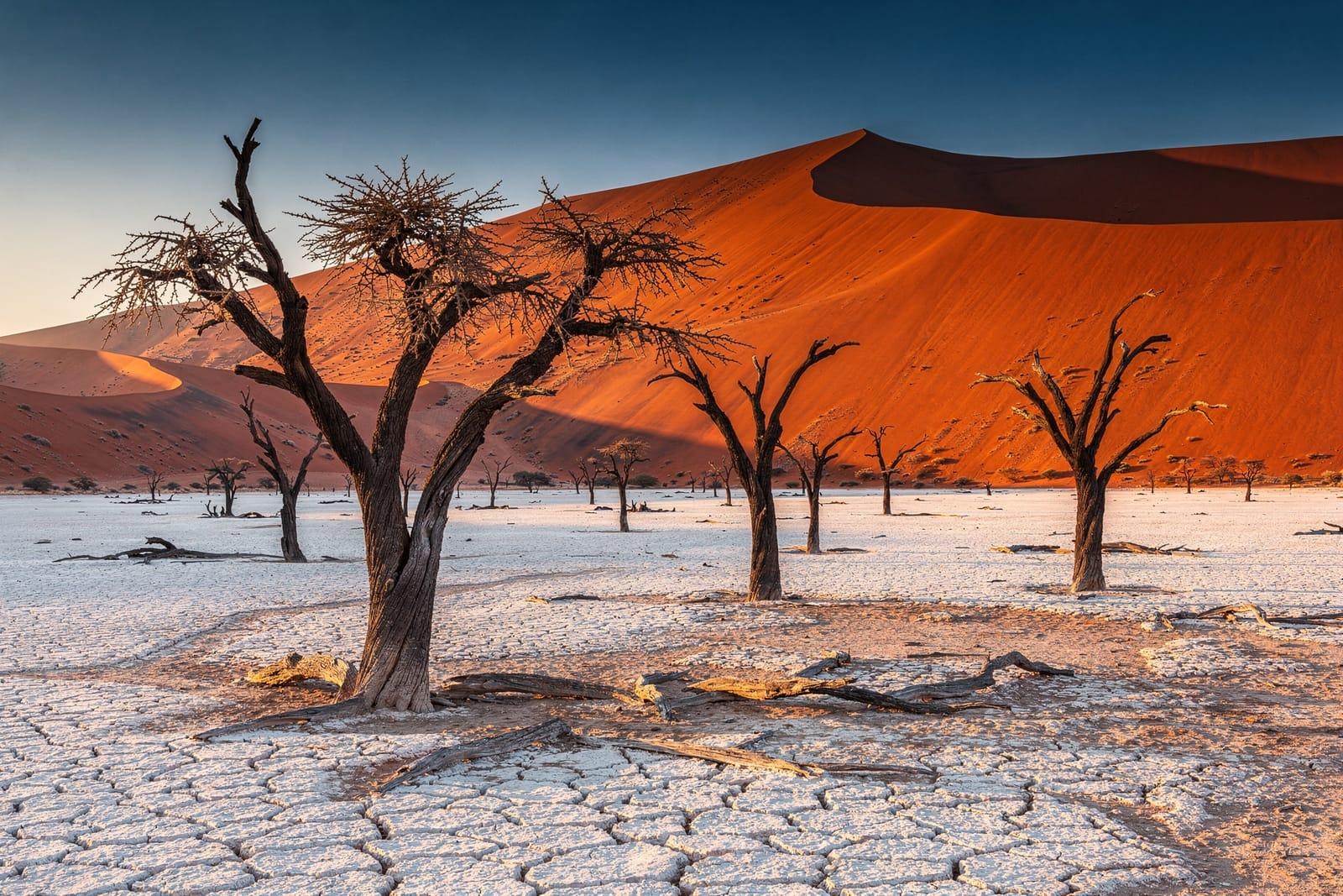 Namibia travel scene