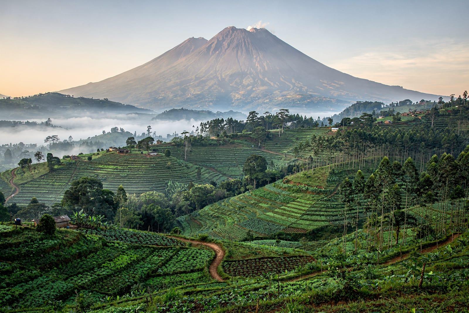 Rwanda travel scene