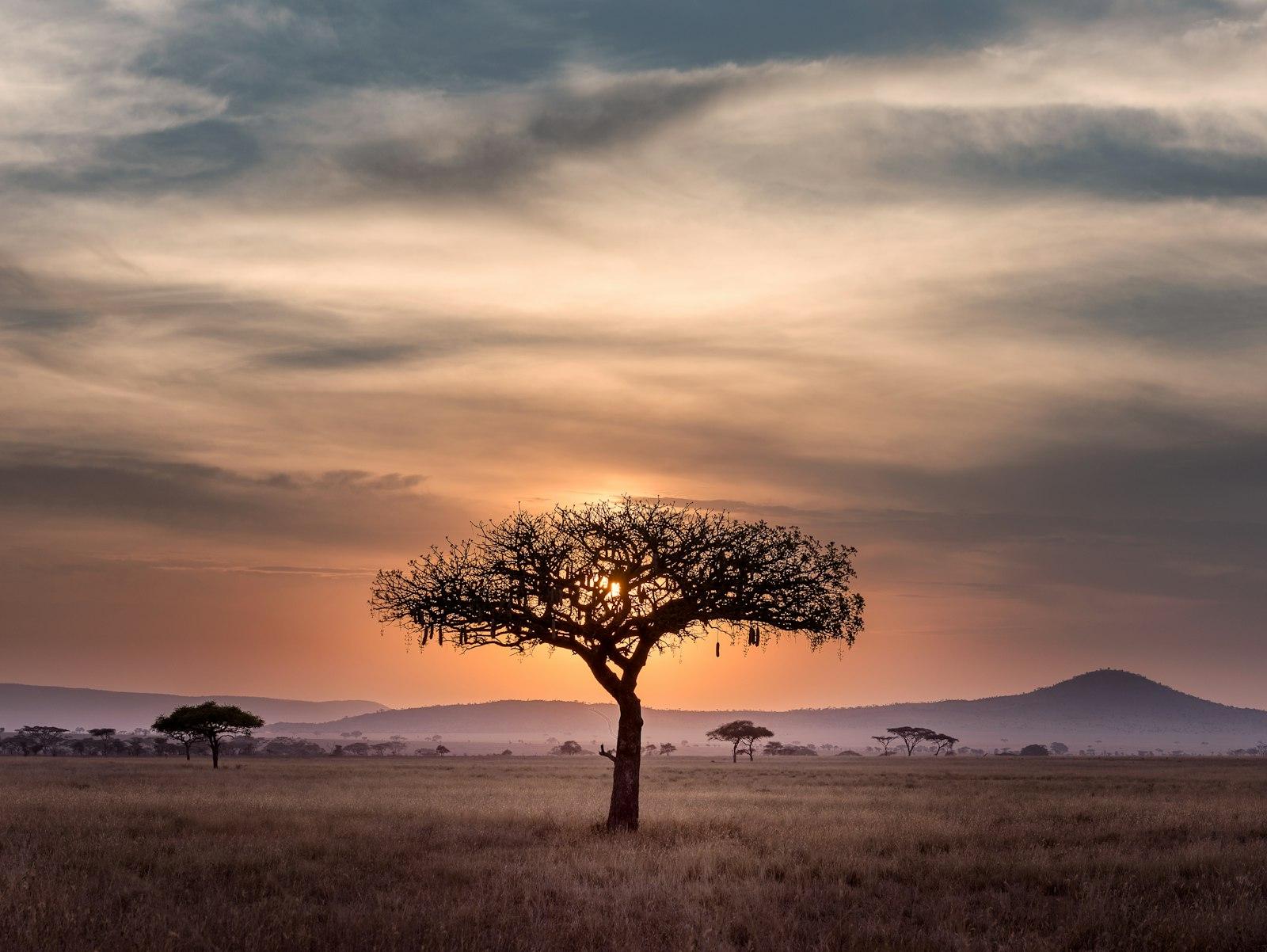 Africa travel scene