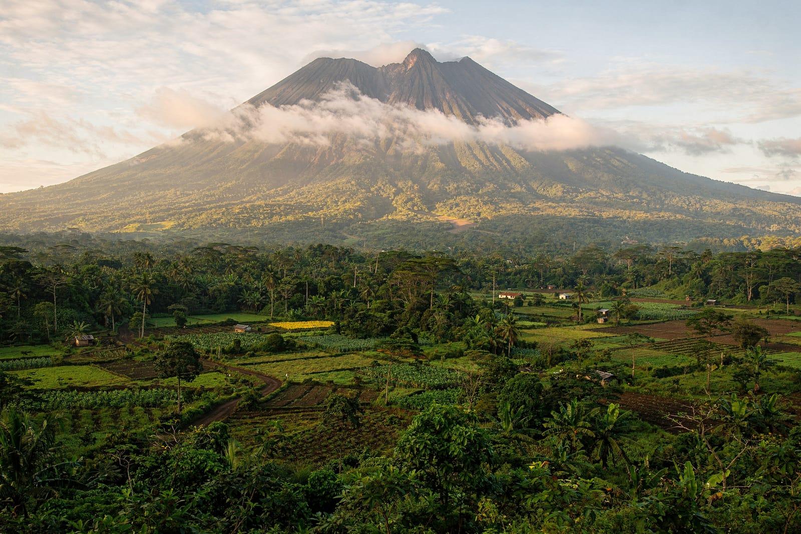 Cameroon travel scene