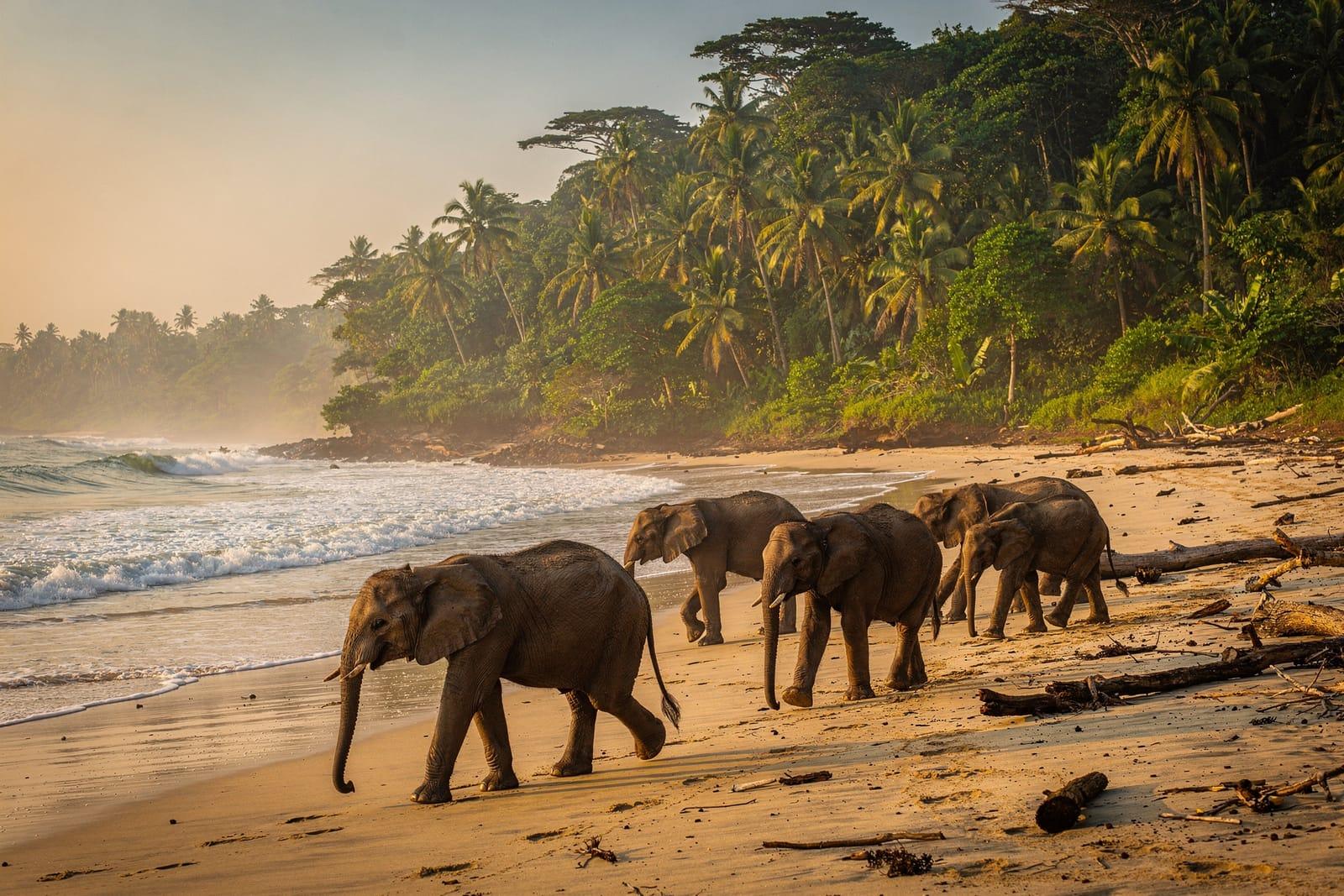 Gabon travel scene