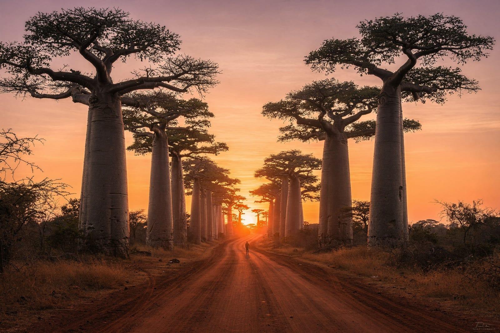 Madagascar travel scene