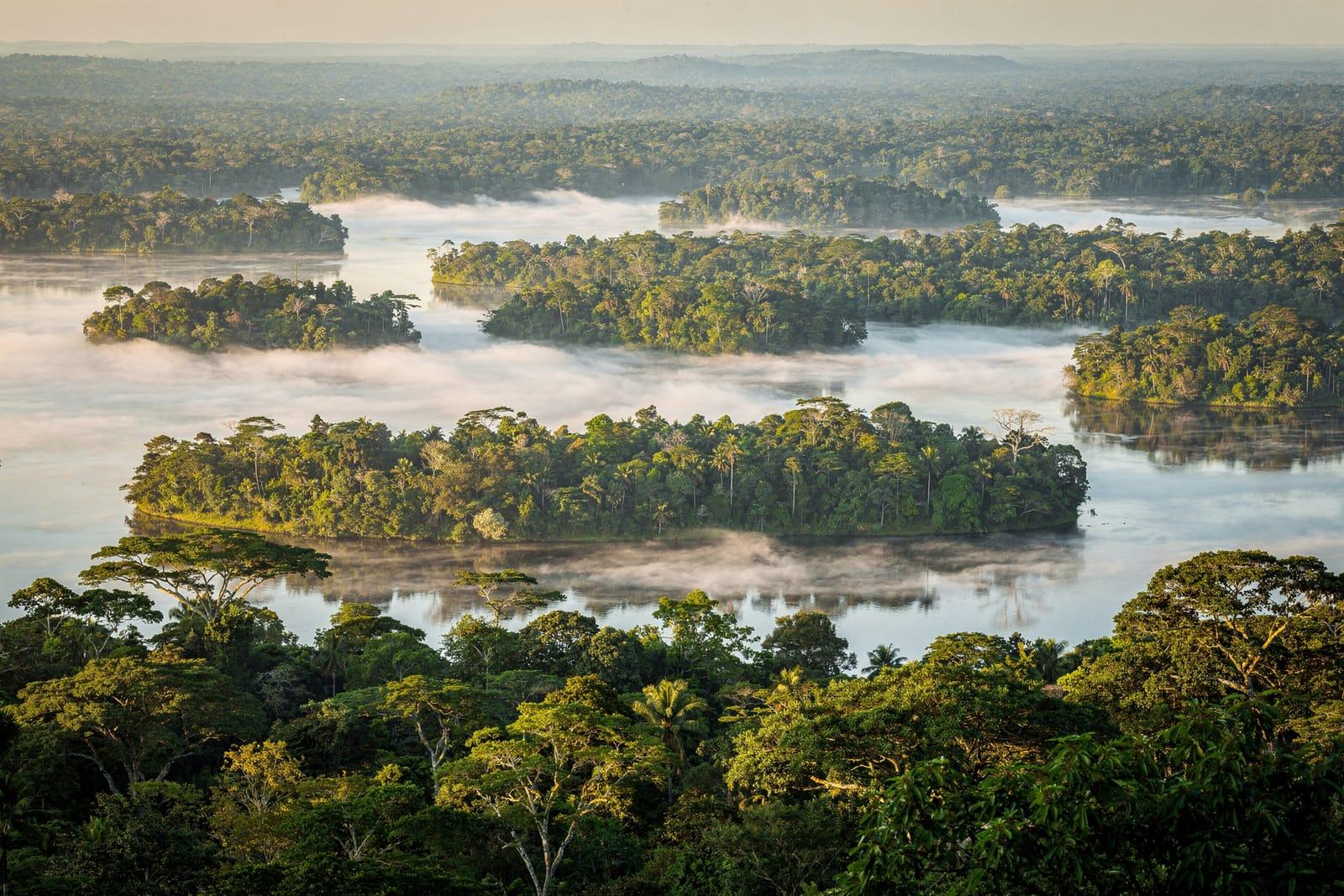 Suriname travel scene