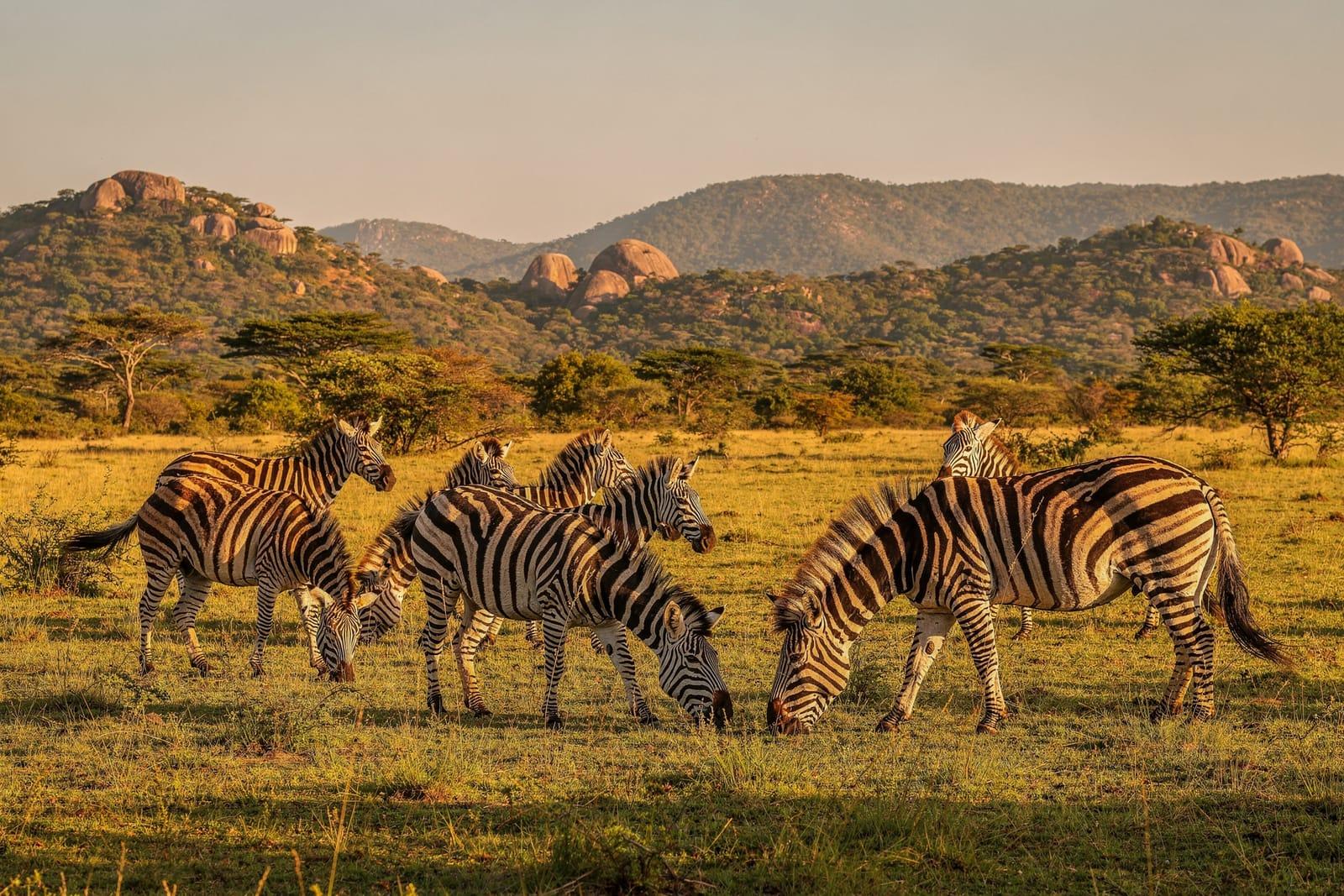 Eswatini travel scene